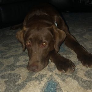 Meet your Posher, Emily